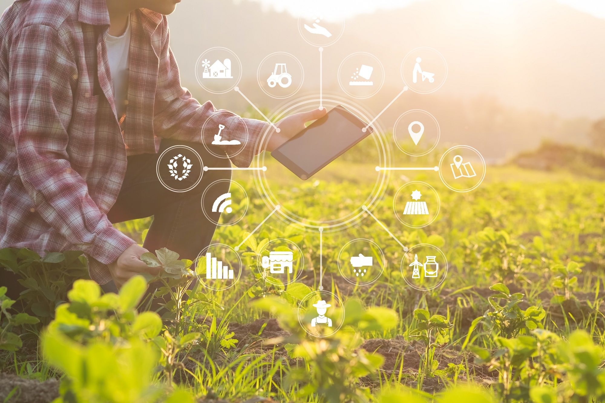 Digital Frontier in Agriculture