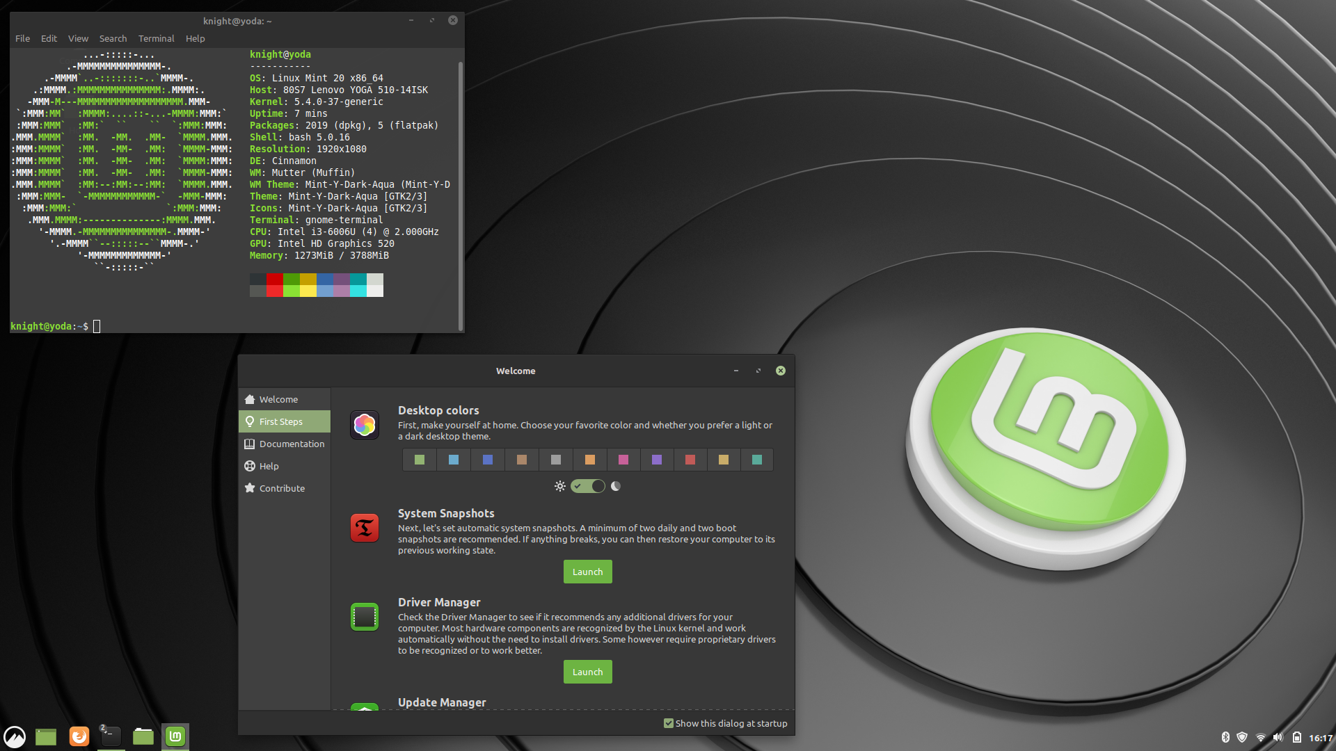 Linux Mint vs. Ubuntu