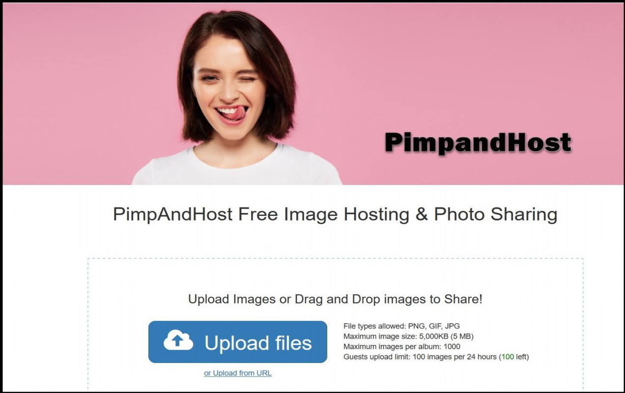 PimpAndHost Website