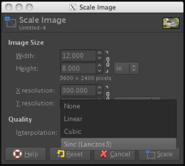 How to Make Images Larger 