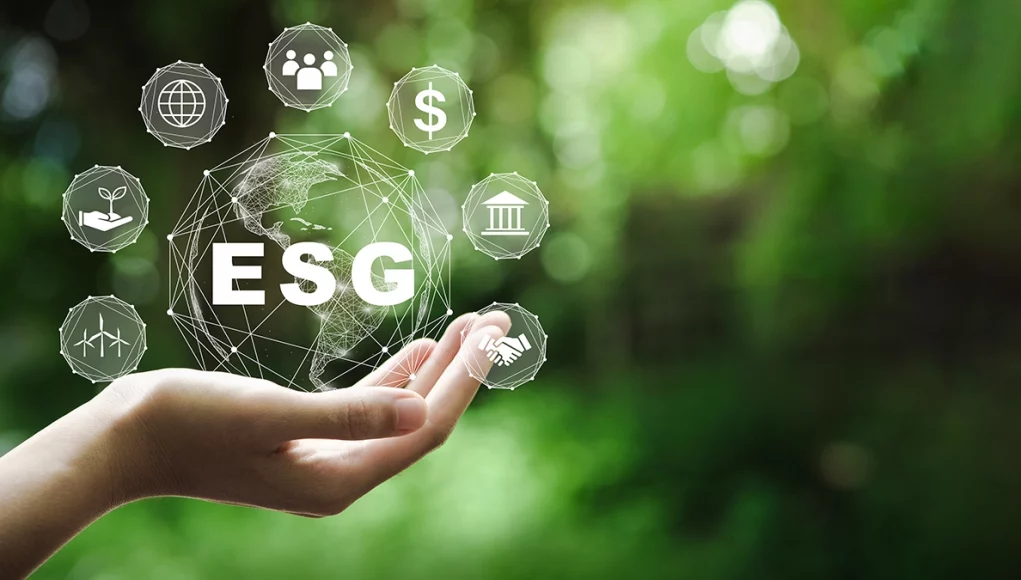 Risks of Corporate ESG Risks of Corporate ESG