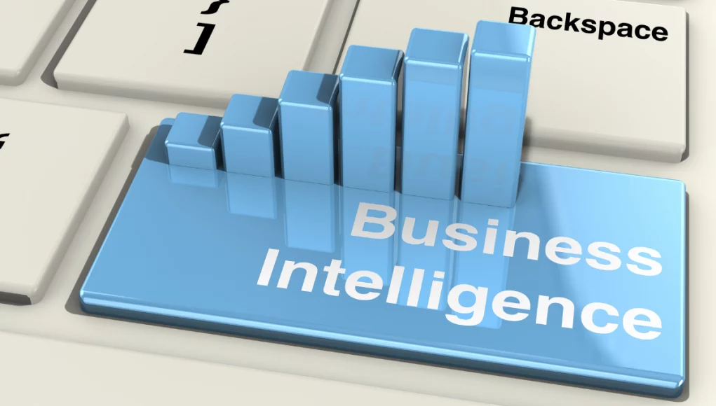 Business Intelligence Processes Business Intelligence Processes