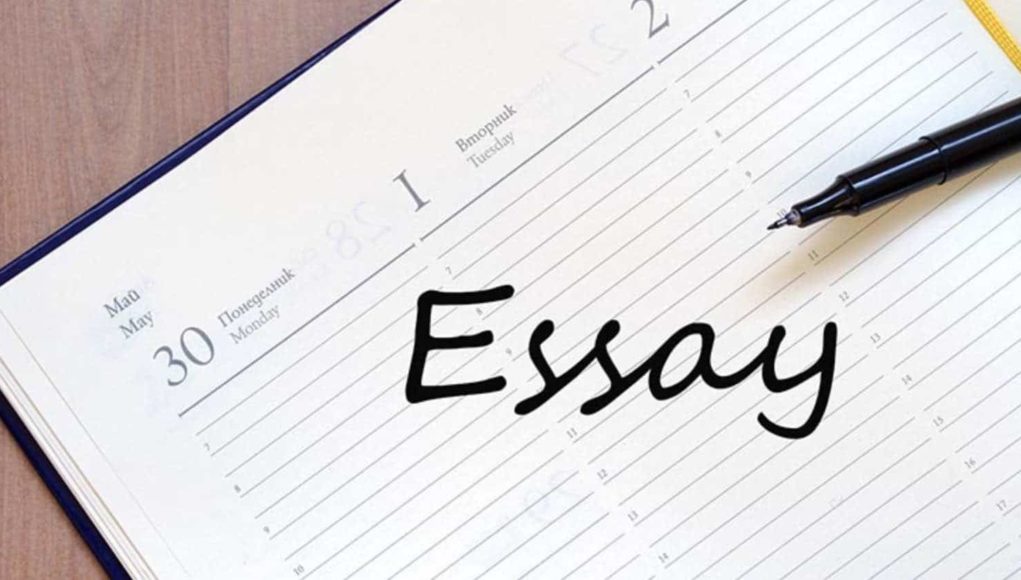 Essay Assignment Essay Assignment