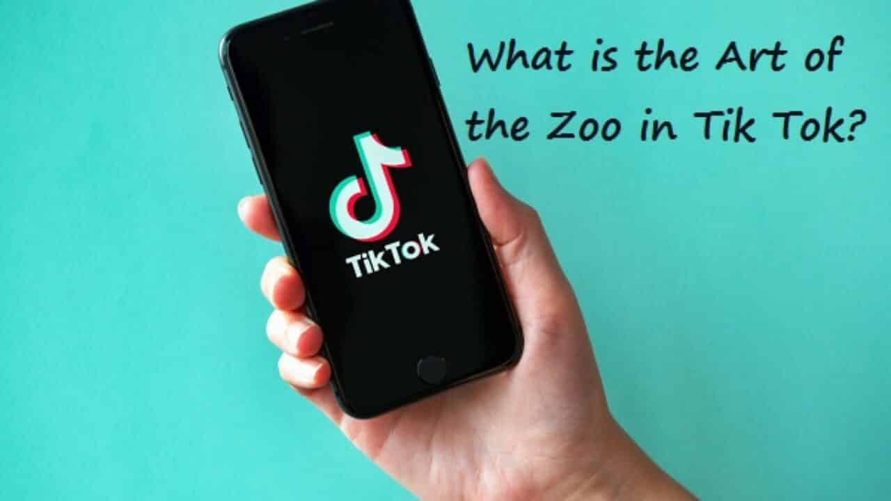 What does mean “The Art of Zoo”