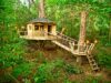 Elevate Your Mini Plant Collection with Tiny Treehouse Concepts Elevate Your Mini Plant Collection with Tiny Treehouse Concepts