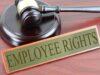 6 Employee Rights You Must Know in 2023 Employee Rights