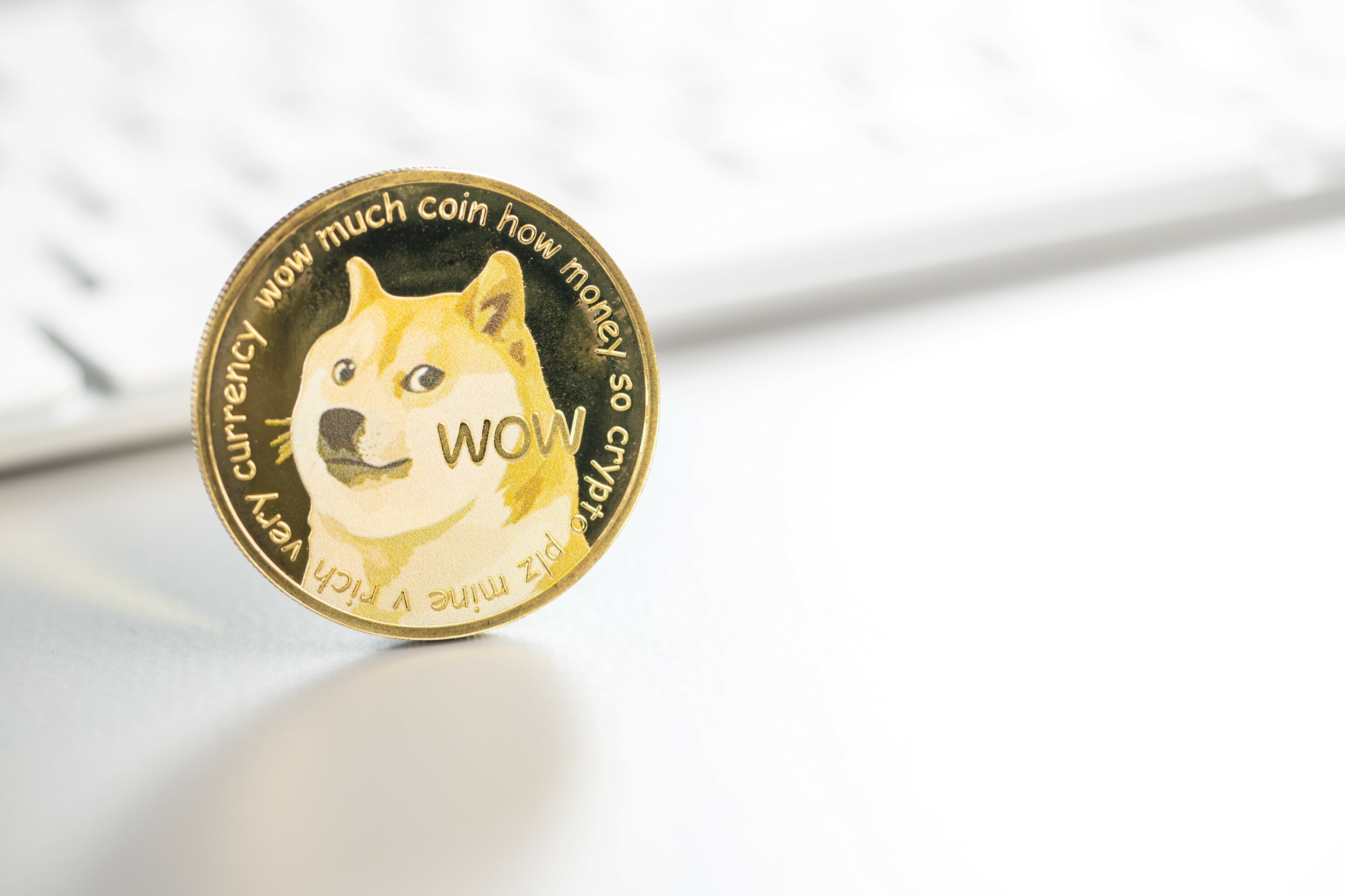 Trading DOGE Online