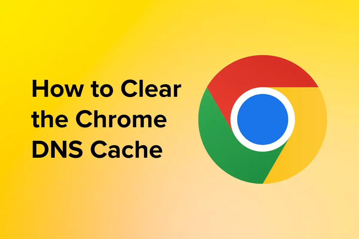 Chrome net internals dns Clearing DNS Cache In Chrome