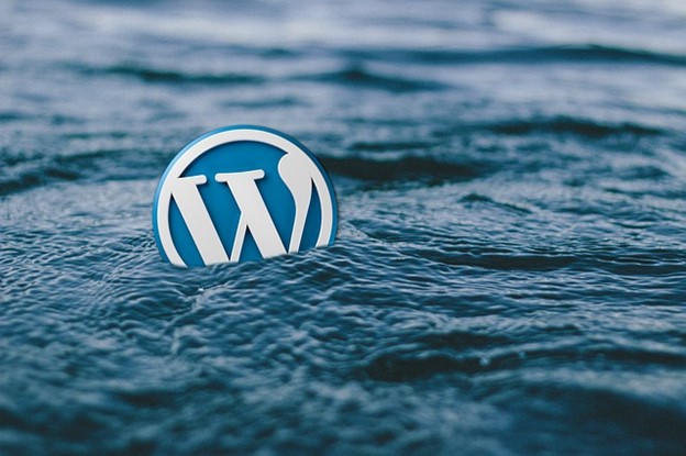 WordPress Hosting vs Web Hosting 1