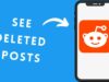 How to See Deleted Reddit Posts – Some Easy Steps See Deleted Reddit Posts