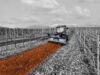 From Dense Underbrush to Clear Ground: The Mechanics of Forestry Mulchers Mechanics of Forestry Mulchers